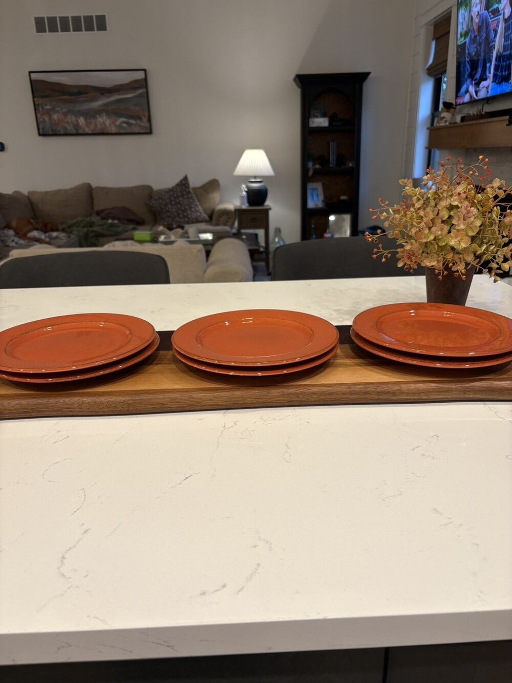Pier 1 Toscana Terracotta Salad Luncheon Plate 8.75" Made In Italy